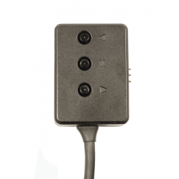 AMP PiP
