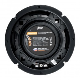 AMP Beat 6.5