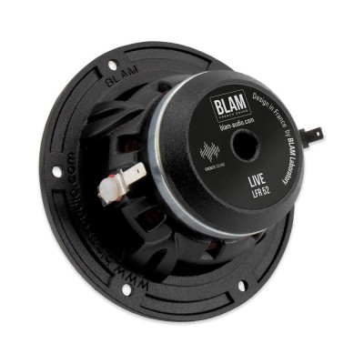 Широкополосные динамики BLAM LFR52 Широкополосные динамики BLAM LFR52