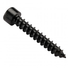 DL Audio Gryphon Lite Hex Screw 6MM