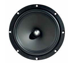 Focal Auditor RSE-165