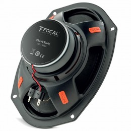 Focal ICU690