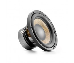 Focal P20FE