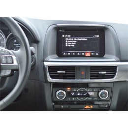 INCAR RMZ-FC427