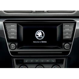 INCAR RSC-FC489