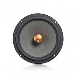 Morel IP-UNI82