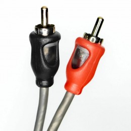 AMP FRCA-1