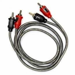 AMP FRCA-1