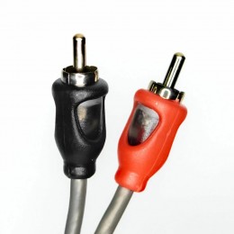 AMP FRCA-2