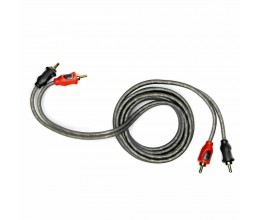 AMP FRCA-2