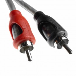 AMP FRCA-5