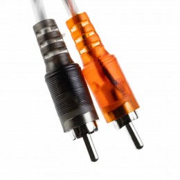 AMP MASS 2.04 (CCA)