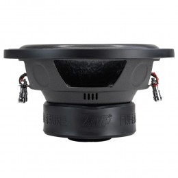 AMP MASS 300 10D2 v.2