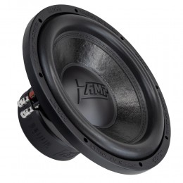 AMP MASS 300 12D2 v.2