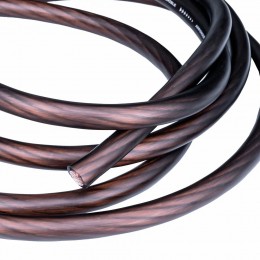 AMP MASS 4Ga CCA Black