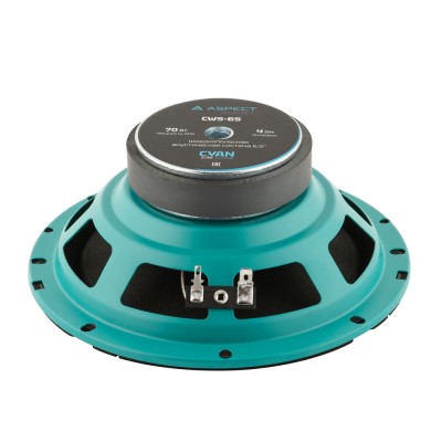 Широкополосные динамики Aspect CWS-65 Широкополосные динамики Aspect CWS-65
