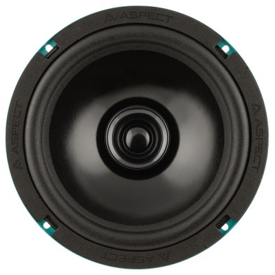 Широкополосные динамики Aspect CWS-80 Широкополосные динамики Aspect CWS-80