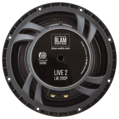 Двухкомпонентная акустика BLAM L 200P ACT