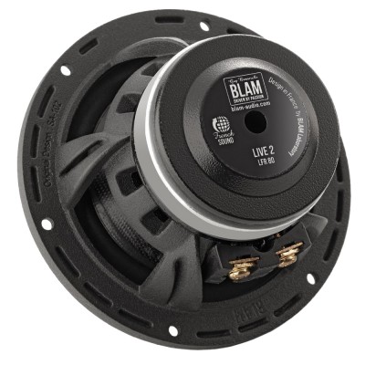 Широкополосные динамики BLAM LFR80 Широкополосные динамики BLAM LFR80