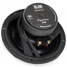 BLAM WS 685