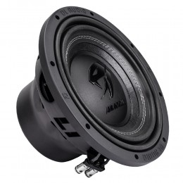 DL Audio Anaconda 10
