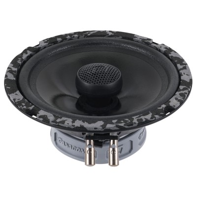 Двухполосные коаксиальные динамики DL Audio Anaconda 165 Coax Двухполосные коаксиальные динамики DL Audio Anaconda 165 Coax