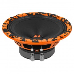 DL Audio Barracuda 165 v.2