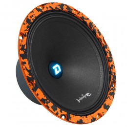 DL Audio Barracuda 200 SE