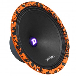 DL Audio Barracuda 200 SE