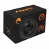 Сабвуфер активный DL Audio Piranha 12 Double Port v.2