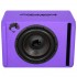 Сабвуфер активный DL Audio Piranha 12A v.3 Purple