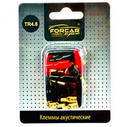 Forcar TR4.8
