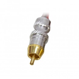 FDS Audio RCA PROFI Y2F