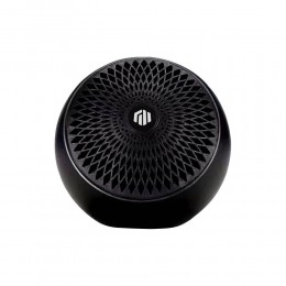 GOLDHORN Celest C1 (Black)