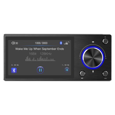 Проводной пульт с IPS экраном для устройств GoldHorn с Hi-Res плеером GOLDHORN Panel Controller with Display for Player