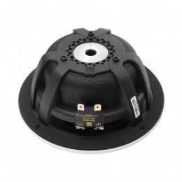 Morel Sensus 62