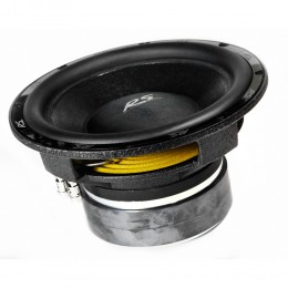 RS Audio RS A 10 DVC